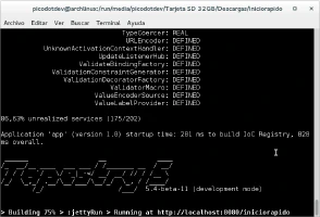 Terminal al iniciar la aplicación Terminal al iniciar la aplicación