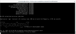 TomcatEmbedded iniciado