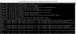 Iniciando TomcatEmbedded