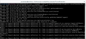 Iniciando TomcatEmbedded Iniciando TomcatEmbedded