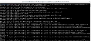 Iniciando TomcatEmbedded