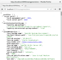 Spring Boot Actuator endpoint Env Spring Boot Actuator endpoint Env
