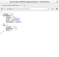 Spring Boot Actuator endpoint Health