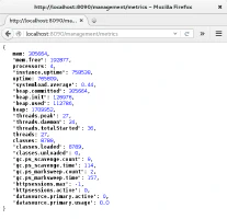 Spring Boot Actuator endpoint Metrics