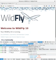 HTTP/2 en WildFly