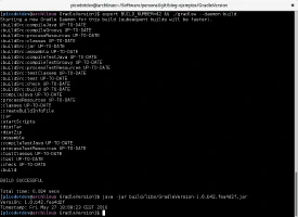 Artefacto distribuible con información de versión Artefacto distribuible con información de versión