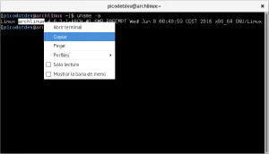 Menú para copiar y pegar en la terminal de GNOME