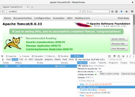 Nginx configurado como proxy inverso de un servidor de aplicaciones Tomcat