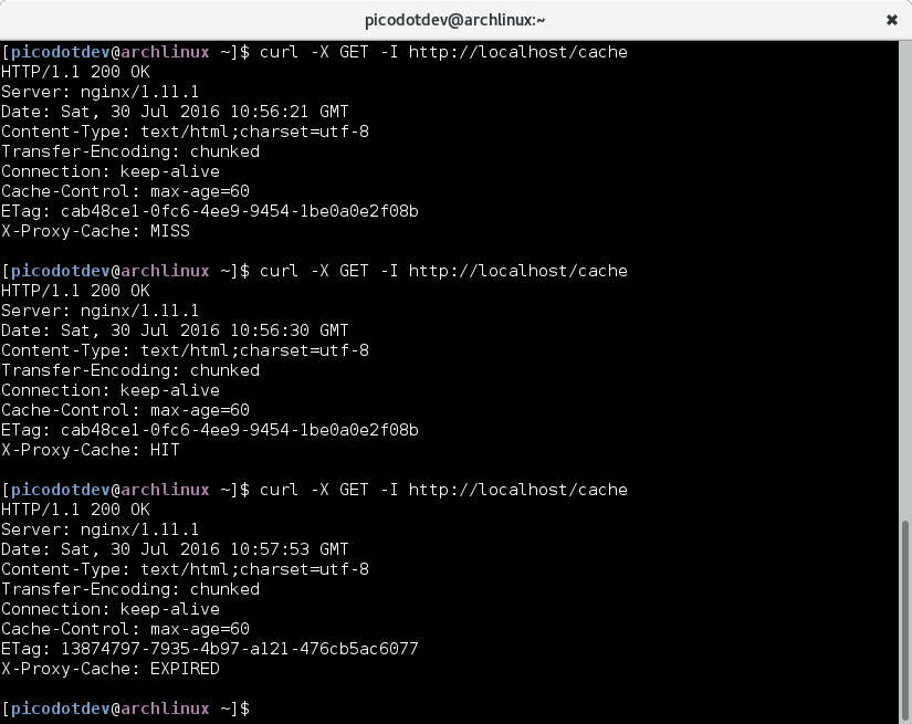 Configurar Nginx para cachear respuestas del servidor de aplicaciones