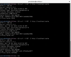 Fallo, acierto y expiración en la cache de Nginx con curl
