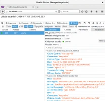 Expiración en la cache de Nginx