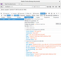 Acierto en la cache de Nginx