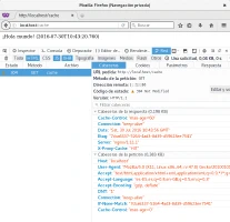 Acierto en la cache de Nginx