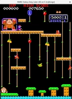 Donkey Kong Jr. Donkey Kong Jr.