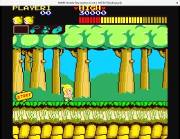 Wonder Boy Wonder Boy