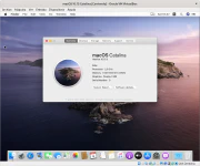 Primer inicio de macOS Catalina en VirtualBox