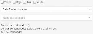 Vista con opciones seleccionadas enviadas al servidor