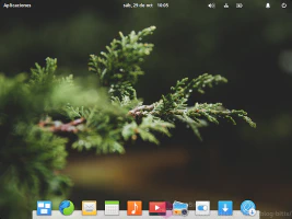 elementary OS elementary OS