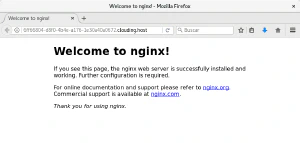 Servidor NGINX