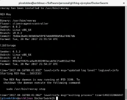 Instalación de REX-Ray en nodos de Docker Swarm con VirtualBox