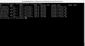 Actualización de la imagen del servicio de nginx Actualización de la imagen del servicio de nginx