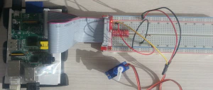 Cableado en la breadboard