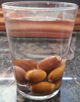 Prueba de viabilidad de semillas Prueba de viabilidad de semillas