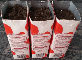 Tiesto con cartón de leche Tiesto con cartón de leche