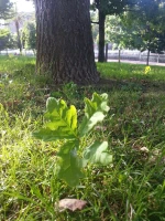 Imagen sin datos EXIF Imagen sin datos EXIF