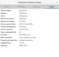 Propiedades de imagen con metadatos