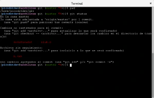 Prompt de la terminal en carpeta git