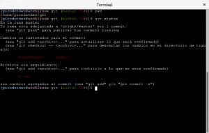 Prompt de la terminal en carpeta git