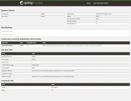 Cluster del servicio de registro y descubrimiento