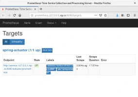 Estado de servicios en Prometheus