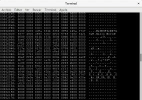 Contenido hexadecimal de un archivo binario de C