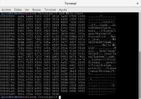 Contenido hexadecimal de un archivo binario de bytecode Java