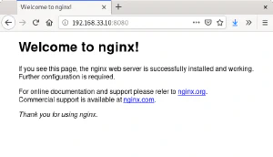 Página devuelta por nginx Página devuelta por nginx