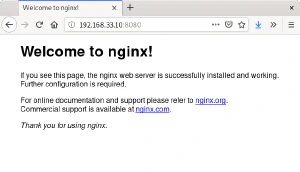 Página devuelta por nginx