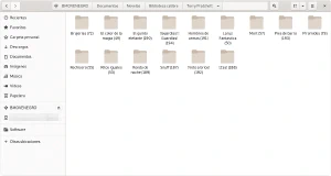 Organización por autor de los archivos en la biblioteca