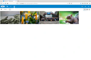 Visor de fotos Visor de fotos