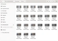 Renombrar archivos en GNOME con buscar y reemplazar texto