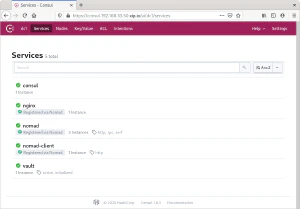 Servicios en consul con el servicio de Nginx registrado por Nomad
