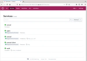Servicios en consul con el servicio de Nginx registrado por Nomad