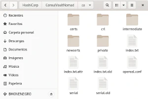 Archivos y directorios de la autoridad de certificación con OpenSSL