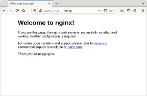 Servidor web virtual en Nginx Servidor web virtual en Nginx