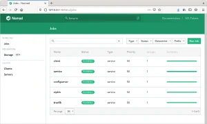 Interfaz web de Nomad