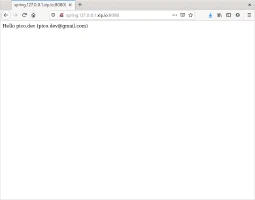 Aplicación de Spring autenticada con una cuenta de Google