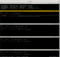 Interfaz consola de analítica GoAccess