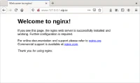 Sitio web con Nginx