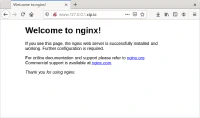 Sitio web con Nginx Sitio web con Nginx